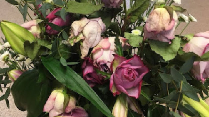 Asian Flowers